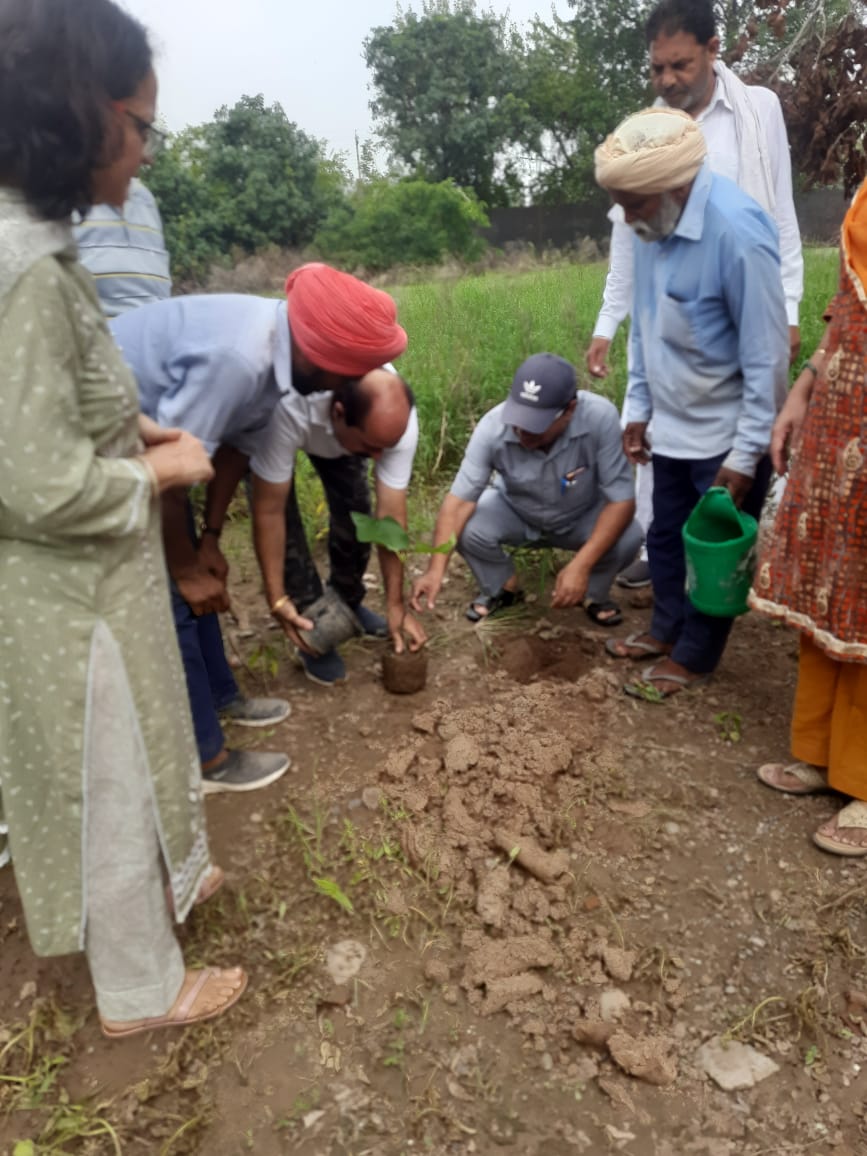 Sewa Bharti Green Initiative: Plantation Drive